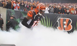 Line analysis: Wild-Card Weekend