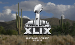 Super Bowl XLIX cliff notes